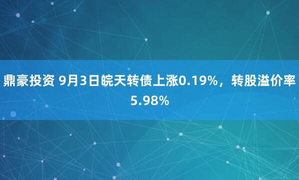 鼎豪投资 9月3日皖天转债上涨0.19%，转股溢价率5.98%