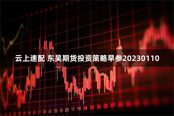 云上速配 东吴期货投资策略早参20230110