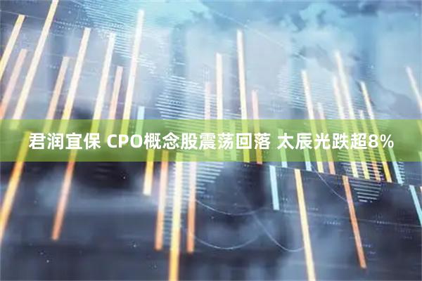 君润宜保 CPO概念股震荡回落 太辰光跌超8%