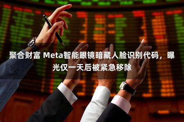 聚合财富 Meta智能眼镜暗藏人脸识别代码，曝光仅一天后被紧急移除